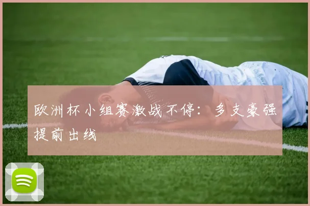 欧洲杯小组赛激战不停：多支豪强提前出线