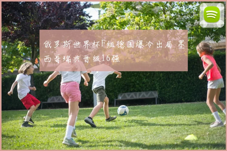 俄罗斯世界杯F组德国爆冷出局 墨西哥瑞典晋级16强