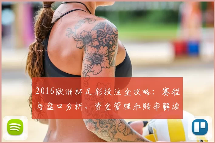 2016欧洲杯足彩投注全攻略：赛程与盘口分析、资金管理和赔率解读