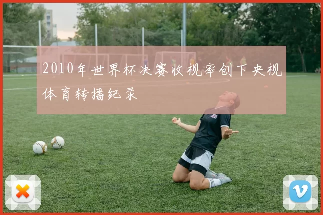 2010年世界杯决赛收视率创下央视体育转播纪录